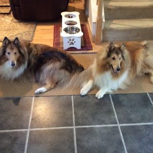 Meet your Posher, Karrin